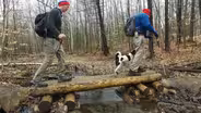 April Hike On Moose Mountain