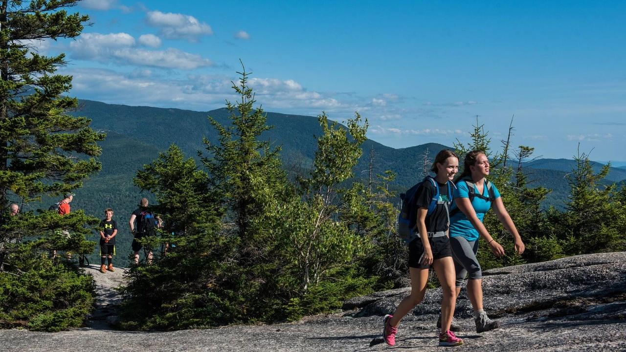 Windows to the Wild | Thrive Outdoors (Preview)