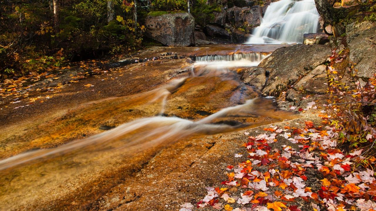 Photographing Foliage at Zealand Falls (Preview)