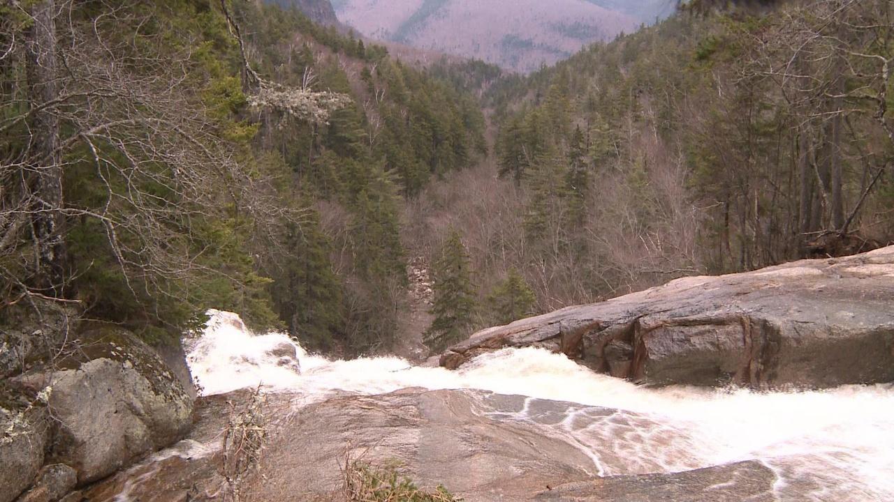 Windows to the Wild | In Search of Arethusa & The Falls