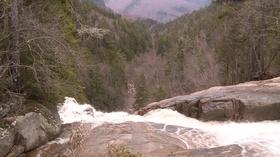 Video thumbnail: Windows to the Wild In Search of Arethusa & The Falls