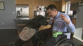 Video thumbnail: Honored to Serve Warrior Canine Connection