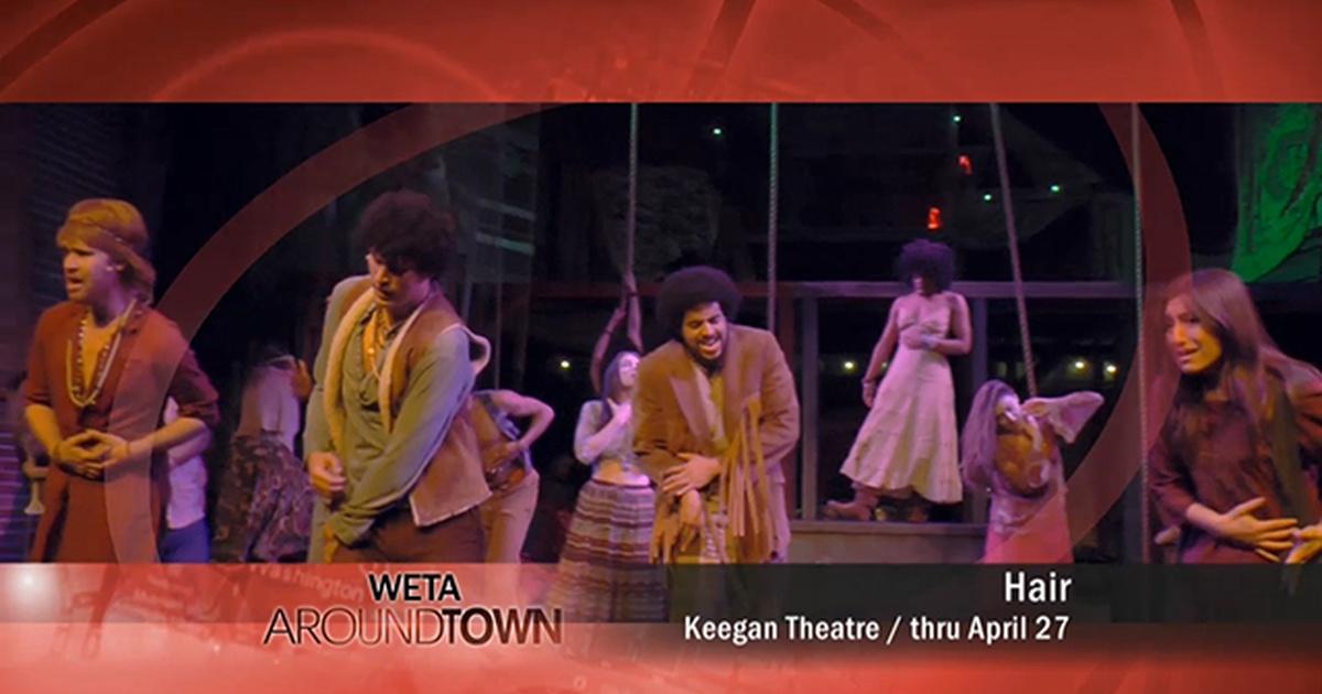 Weta Around Town Hair Pbs