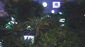 Video thumbnail: WETA Arts Nam June Paik: Global Visionary Exhibit
