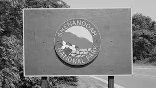 Shenandoah: A Story of Conservation and Betrayal