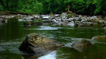 Video thumbnail: WETA Extras Rock Creek Park