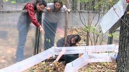 Video thumbnail: Emerging Science Climate Change: A Northeast Primer