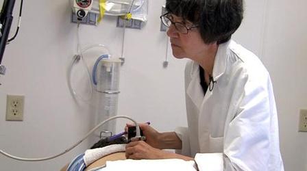 Video thumbnail: Emerging Science Acupuncture: A Connective Tale