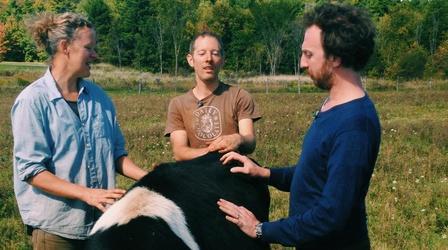 Video thumbnail: Makin Friends with Ryan Miller I'm not Going to Eat Meat Anymore with Eben and Heidi