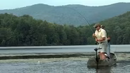 Kent Pond Bass, Bat Research, Vermont Skydiving