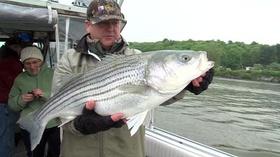 Video thumbnail: Outdoor Journal Hudson River Stripers, Doe Camp, Podunk WMA, Goose Round-Up