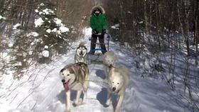 Video thumbnail: Outdoor Journal Dog Sledding / Timber Rattlers / Wenlock WMA