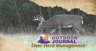 Deer Herd Management 2015