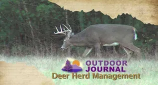 Deer Herd Management 2015