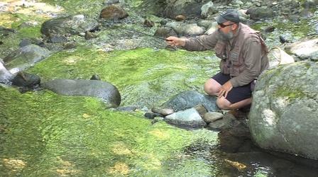 Video thumbnail: Outdoor Journal Tenkara | Dead Creek Days |Trail Cutting | Backcountry Ski