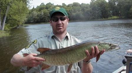 Video thumbnail: Outdoor Journal Vermont Muskie Restoration and Sea Lamprey Control