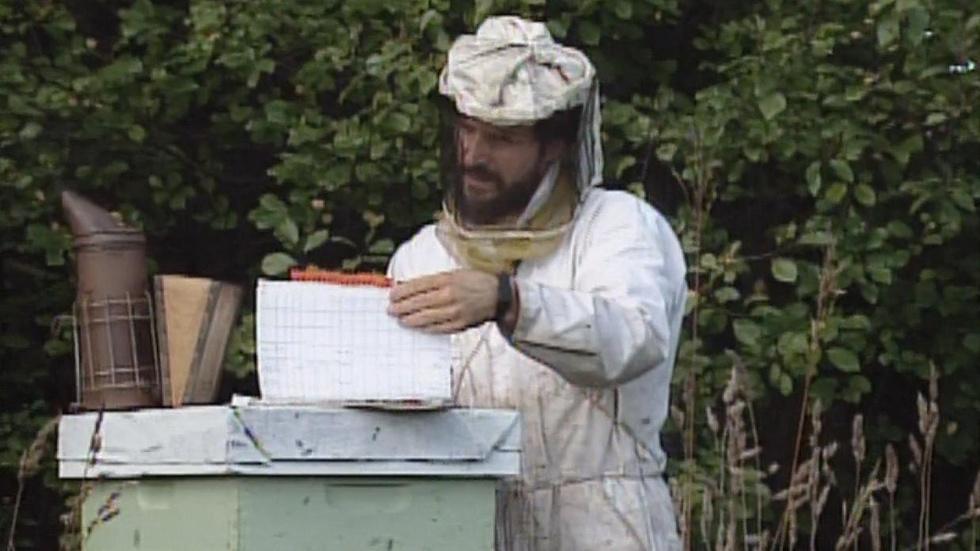 Apples/Beekeeping/Lange image