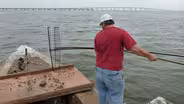Oystermen & Researchers Fighting for Apalachicola Bay