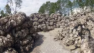 Recycling Oyster for Choctawhatchee Bay