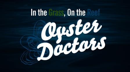 Video thumbnail: In the Grass, On the Reef Oyster Doctors