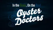 Oyster Doctors