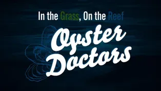 Oyster Doctors