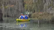 Diving into Discovery at Merritt’s Mill Pond
