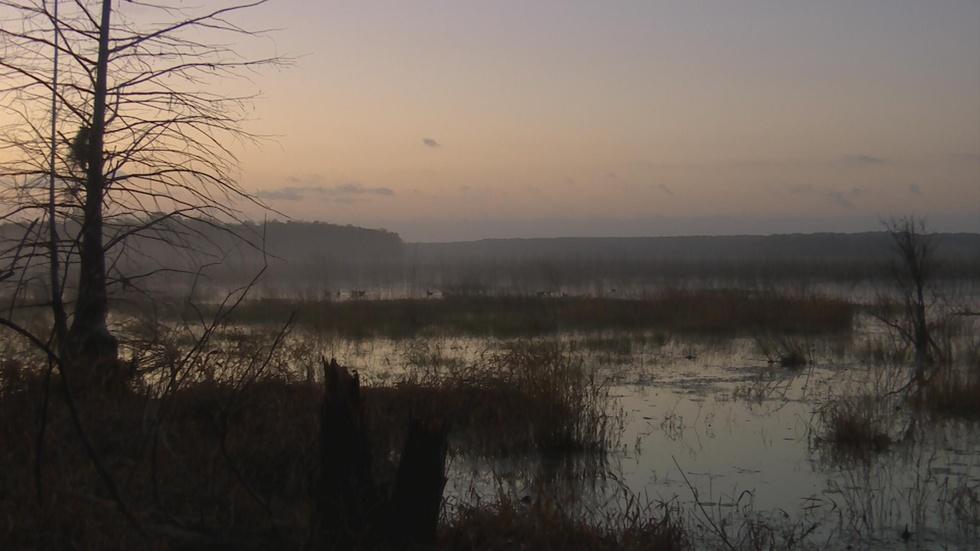 Farms & Lakes | Roaming the Red Hills image