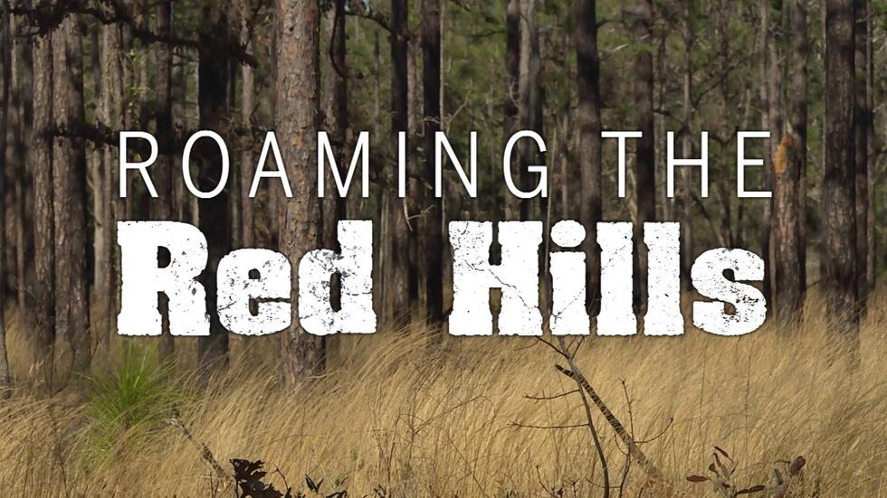 Roaming the Red Hills | The Complete Adventure image