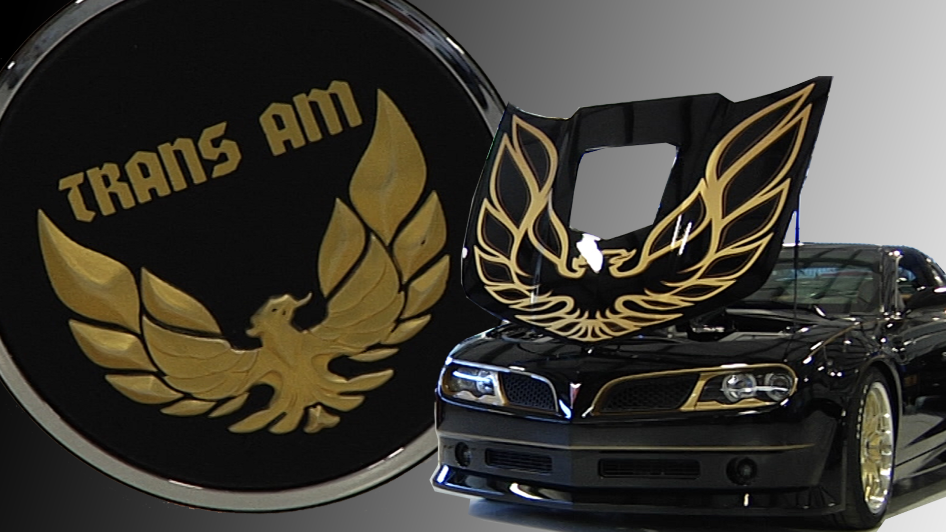 Return of the Trans Am