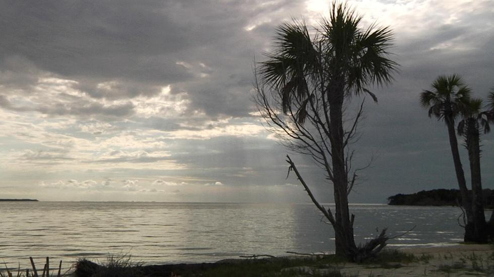 Saint Vincent Island |Florida's Wildest Barrier Island image