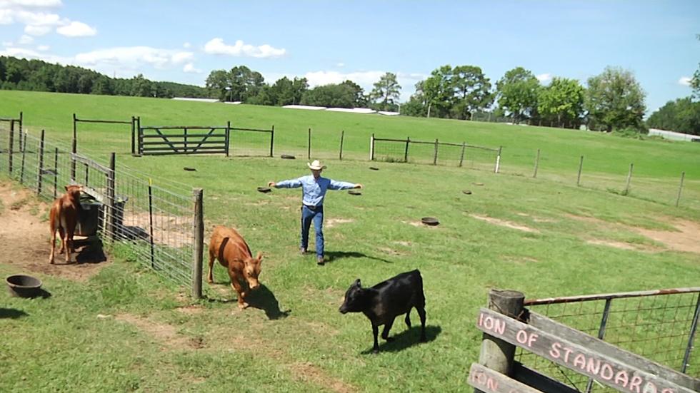 Before There Was Cowboy, Florida Had Cracker! image