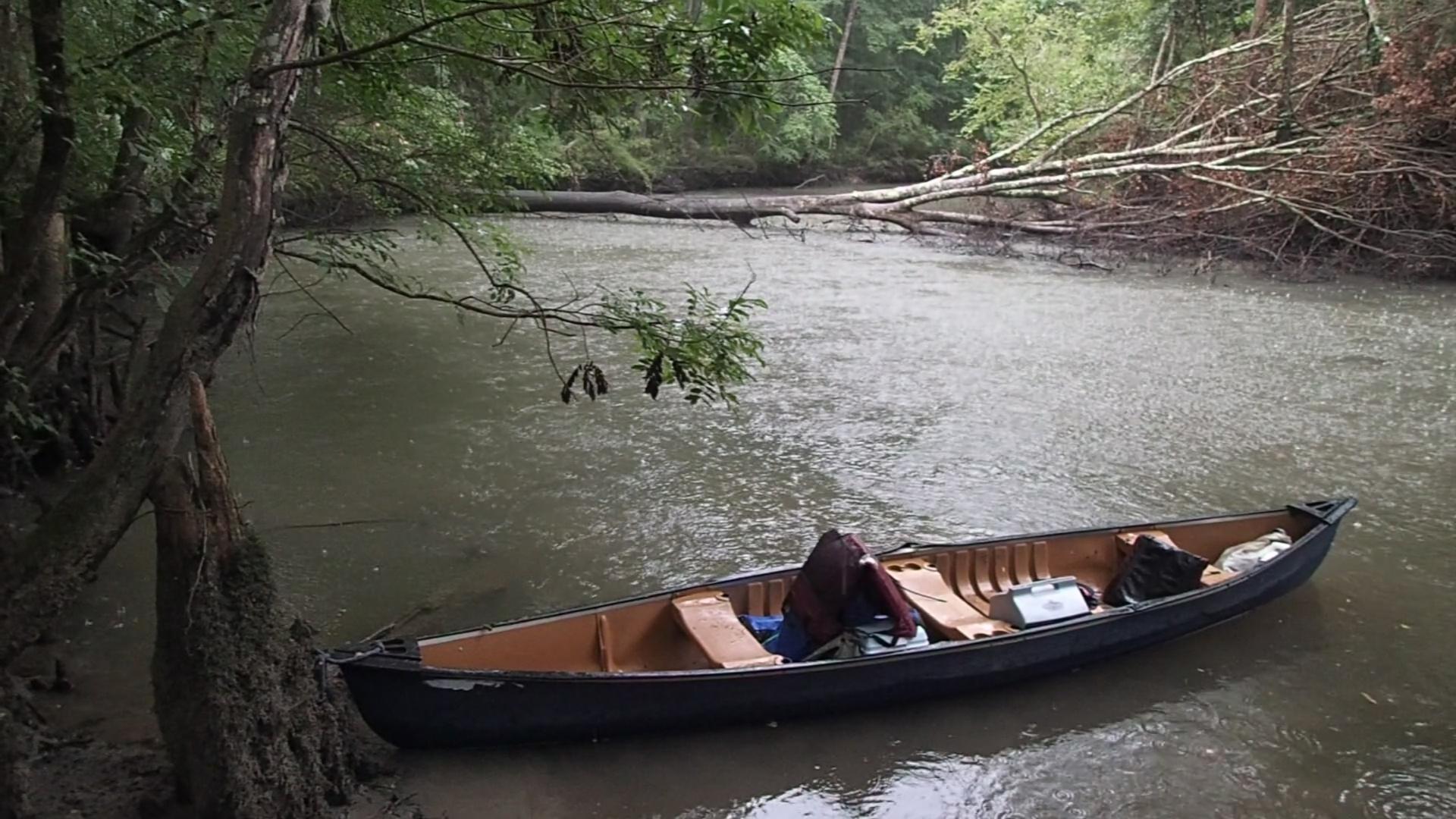Upper Chipola River Kayak / Canoe Adventure