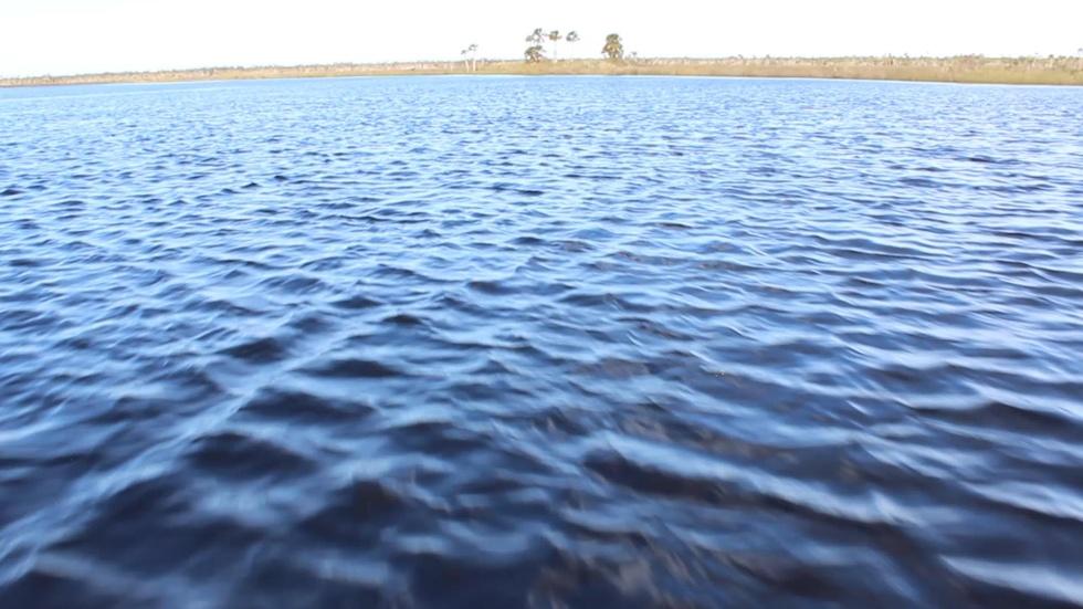 The Complicated History of the Fenholloway River image