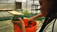 Success Academy | Learning STEM, Garden to Cafeteria