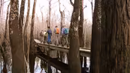 Choctawhatchee River Hiking on the Florida Trail