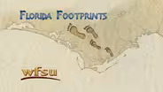 First 5 Episodes Preview