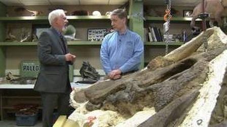 Video thumbnail: Across Indiana Dinosphere Today: An Across Indiana Special