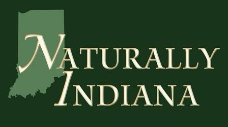 Video thumbnail: Across Indiana Naturally Indiana: An Across Indiana Special