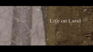 Life on Land