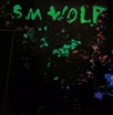 S.M. Wolf