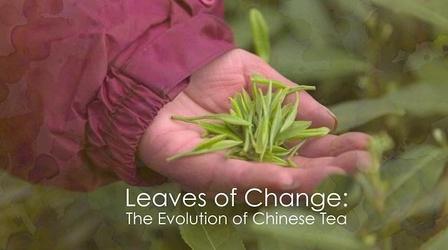 Video thumbnail: Leaves of Change: The Ageless Tradition of Chinese Tea Leaves of Change: The Ageless Tradition of Chinese Tea