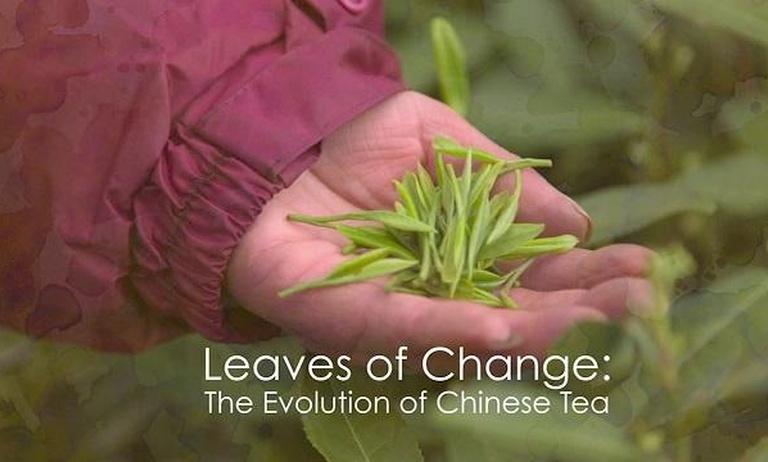 Leaves of Change: The Ageless Tradition of Chinese Tea