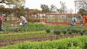 Video thumbnail: Central Texas Gardener Healing Gardens for the Formerly Homeless