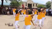 African-American Fraternities and Sororities - The Divine 9