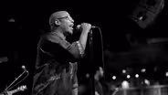 Bad Rabbits - Sextape (Live)