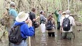 Video thumbnail: WGCU Connect Lake O, Fakahatchee & Lover's Key