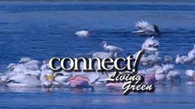 Video thumbnail: WGCU Connect Legendary Activists, Protecting Wildlife & Water Quality