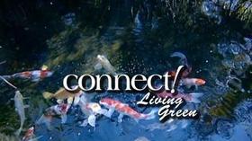 Video thumbnail: WGCU Connect Sustainability, Water Conservation & Retrofitting Your Home