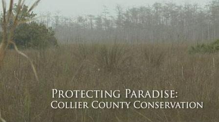 Video thumbnail: Untold Stories Protecting Paradise: Conserving Collier County